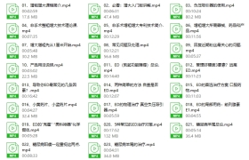 韩教授增粗增大入门版20天训练套餐（最新）