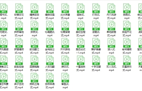 男女欢悦性爱精彩解说视频（共72部姿势视频）