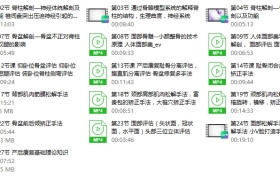 牛婷-宫廷柔式整骨术