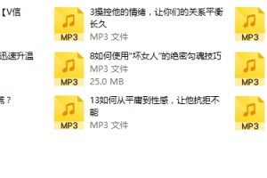 源靖《情场制胜16课》音频