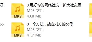 源靖《高效嫁人系列课》音频