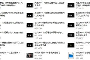 柯李思Chris《转变2.0》线上视频课