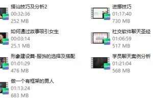陈大力《现场游戏大师1.0》