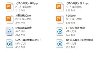 乌鸦救赎《核心自信》
