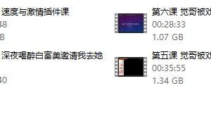 乌鸦救赎《速度与激情》