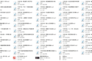 但丁law的那些年