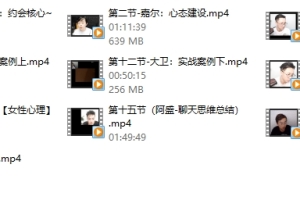赛车手男哥《恋爱30天脱单直播课》