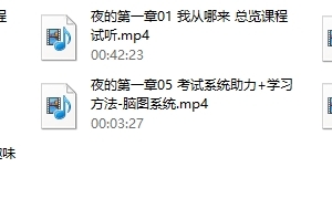 男哥系列《夜的第一章》