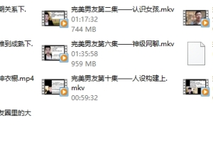 富饶《完美男友vip》