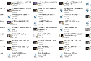 男哥《爱商训练营》