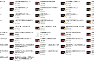 2021偷心聊法1.0+2.0进阶篇+23集实战篇网盘下载4GB