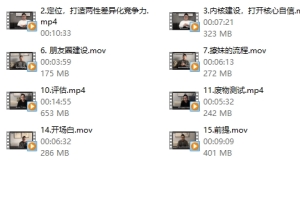 Leon系列课《Leon3.0》