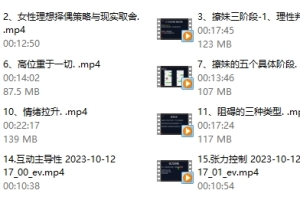 Leon系列课《Leon情感5.0》
