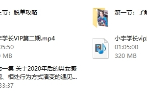 浪迹系列《2020脱单计划》