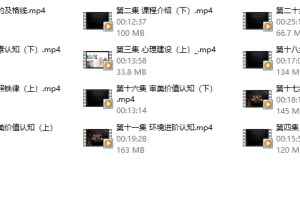浪迹小宇恋爱《展示面升华之道》