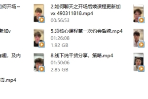 浪迹系列《情敌策略》