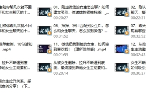 爱上情感《超级聊天库(通过聊天,也可以轻易吸引女生)》