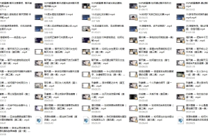 爱上情感VIP课程《恋爱方法》