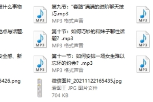 最绅士晨哥《恋商特训营》