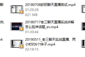 雅痞情感《实战:雅痞聊天秀》