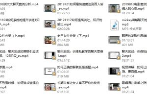 雅痞系列《雅痞情感1对1终身VIP私教课》