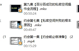 梵公子系列《约会加速器》