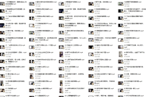 林老头2023年新课《精华直播案例内部完整版》