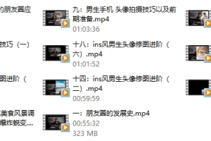 鸭哥《普通人打造明星质感照片》