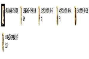 黑猫门徒核心课