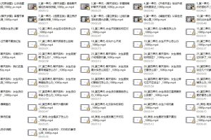 大鹏聊天课（送案例）