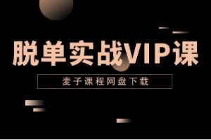 麦子《脱单实战VIP课》