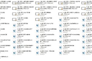 大鹏《大鹏高级聊天会员》