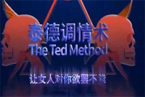 《泰德调情术完整版》让女人对你欲罢不能