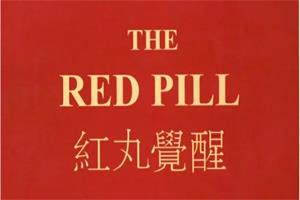 《红丸觉醒1.0+2.0+3.0》电子版