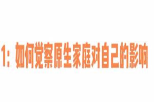 赛维原生家庭系列(13集视频)