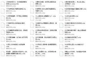 赛维高段课程二（39集音频）