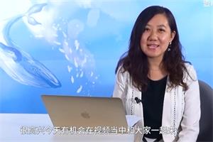 a婚姻情感&家庭咨询技能大全