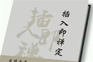 《插入即禅定》PDF电子版