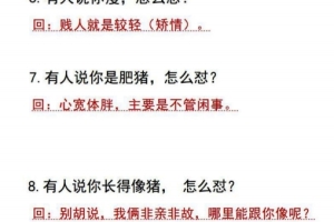 《怼人话术500例 》PDF