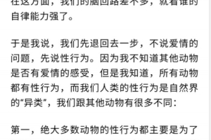 什么是恋爱脑PDF