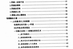 两性终极互补术PDF