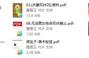 道家霜修踩补术