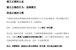 从新手到大师训练计划