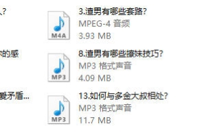 渣男识别术14节音频