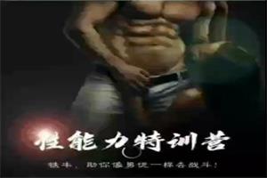 铁牛踹技特训营