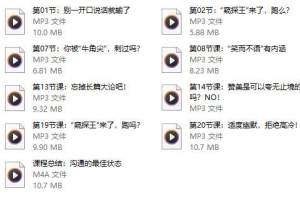 陈伟鸿《跟大佬学说话24堂沟通必修课,做一个会说话的人》音频