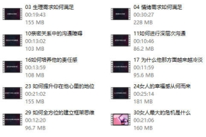 大梦情感【关系经营】幸福篇