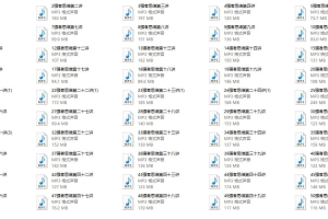 老娄《强者思维》50讲
